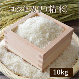 コシヒカリ10kg（精米）