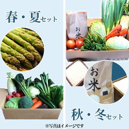 西会津ミネラル野菜セット（大）3回（10〜12品目）4名様1週間分相当