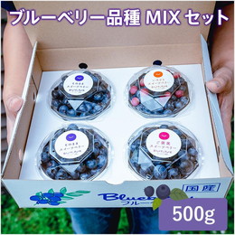 ブルーベリー品種MIX500ｇセット
