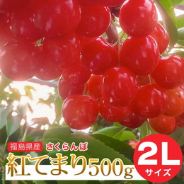 さくらんぼ 紅てまり 2Lサイズ 500g