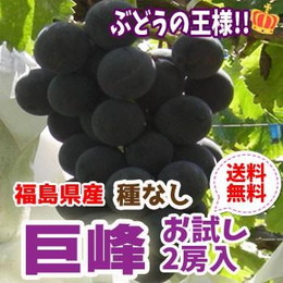 福島県産 巨峰 種なし 2房セット