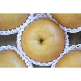 福島産　萱場の梨『新高』 秀品以上 約5ｋｇ（5～10個）