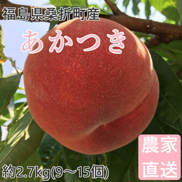 桃 あかつき 2.7kg(9～15個) 福島桑折町産 通常品 7月下旬-8月上旬お届け 常温配送