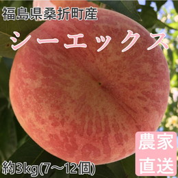 桃 シーエックス 3kg(7～12個) 福島桑折町産 通常品 9月下旬お届け 常温配送