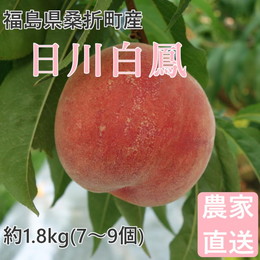 桃 日川白鳳 1.8kg(7～9個) 福島桑折町産 通常品 7月上旬～7月中旬お届け 常温配送