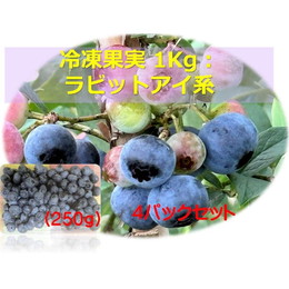 ブルーベリー 冷凍 ラビットアイ 1kg：250g ４パック 福島県 二本松市産