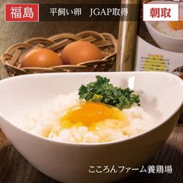 平飼い卵 【こころんファーム養鶏場】 卵 たまご ここたま 40個 朝取 M L LL サイズ混合 2.8kg JGAP 自家配合飼料 地下水 福島県 平飼