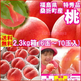 桃 福島県 献上桃の郷 桑折町産 特秀品桃 2.3kg箱 6～9玉入