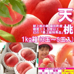 【数量限定】 1％未満の奇跡 極上桃 『天』 1kg箱 (3～5玉入) 献上桃の郷 桑折町産