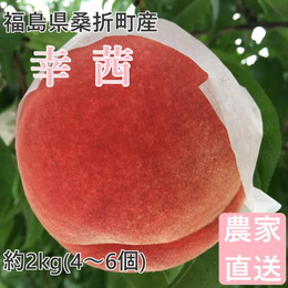 桃 幸茜 2kg(4～6個) 福島桑折町産 ギフト品 8月下旬-9月上旬お届け 常温配送