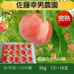 桃 【佐藤幸男農園】 もも 川中島 5kg 13～16個 贈答用 プレゼント 福島県 《8月中旬～8月下旬の出荷》