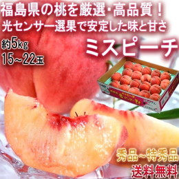 ミスピーチ 桃 約5kg 15～22玉 福島県産 贈答規格 JA全農ふくしま 福島で採れたモモを厳選！光センサー選果で安定した甘さ