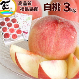 福島県産 白桃 3kg (8〜12玉) 贈答用