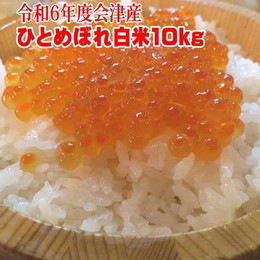 米10kg ひとめぼれ【キラぴか精米】 送料無料  令和6年 会津産