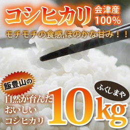 令和元年度産 会津産 コシヒカリ 10kg