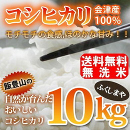 令和元年度産 無洗米 会津産 コシヒカリ 10kg