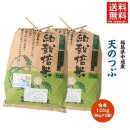 新米 令和6年産 米 10kg 白米 福島県 中通産 天のつぶ 精白 (5kg×2袋) 小分け  お米 ふくしまプライド。体感キャンペーン（お米）