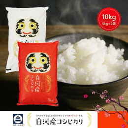 新米 令和6年度 2024年 米 お米 10kg 白河産コシヒカリ 送料無料 福島県産 5kg×2袋 10キロ 5キロ 白米 精米