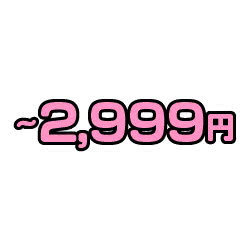 ～2,999円