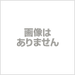 上野文盛堂 HB580 オリジナル ドライブラシセット