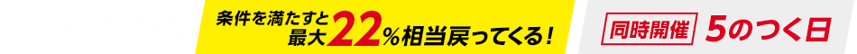 条件を満たすと最大22％相当戻ってくる！