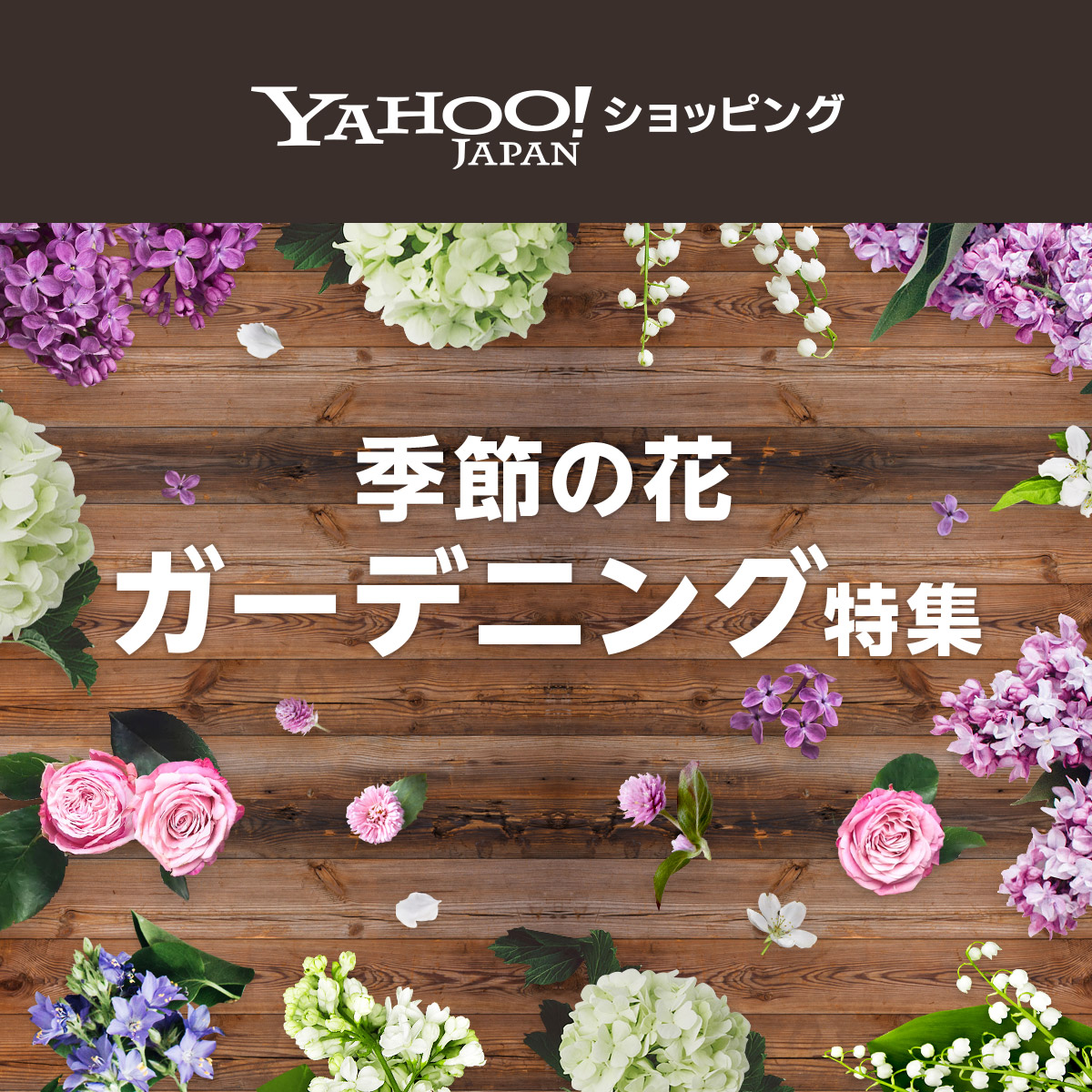 季節の花 ガーデニング特集 Yahoo ショッピング