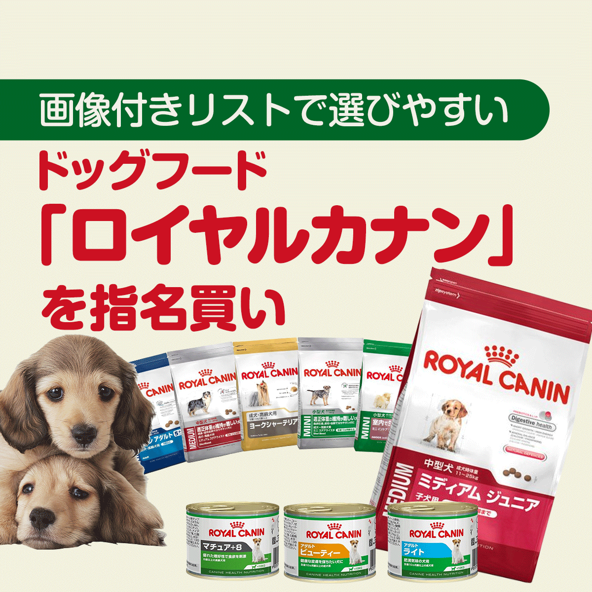 ペット用品 生き物 通販 Yahoo ショッピング