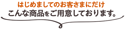 はじめましてのお客さまにこんな商品をご用意しております