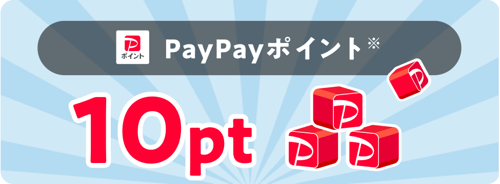 PayPayポイント※　10pt