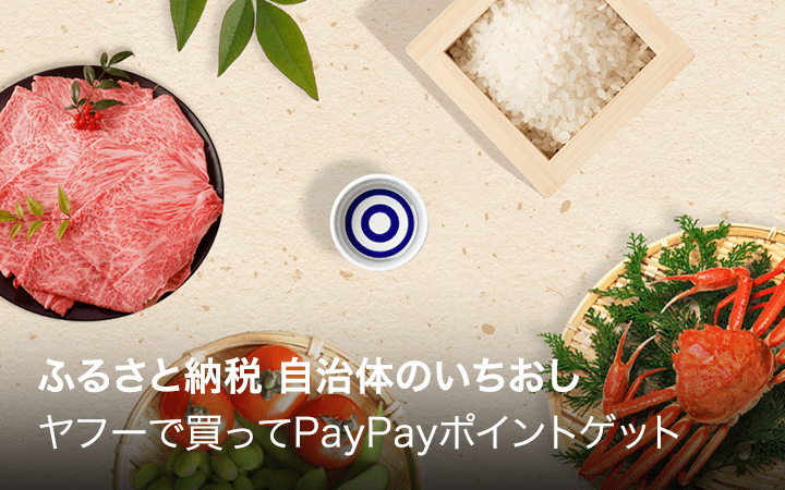 ふるさと納税　自治体のいちおし　ヤフーで買ってPayPayポイントゲット