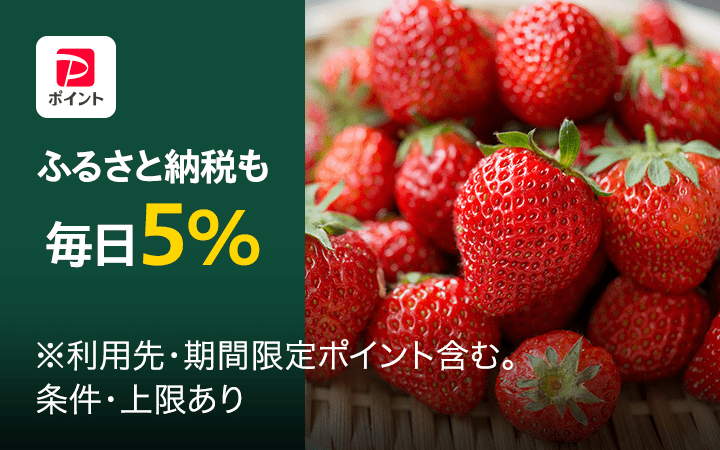 ふるさと納税も毎日PayPayポイント+5％ ※利用先・期間限定ポイント含む。条件・上限あり