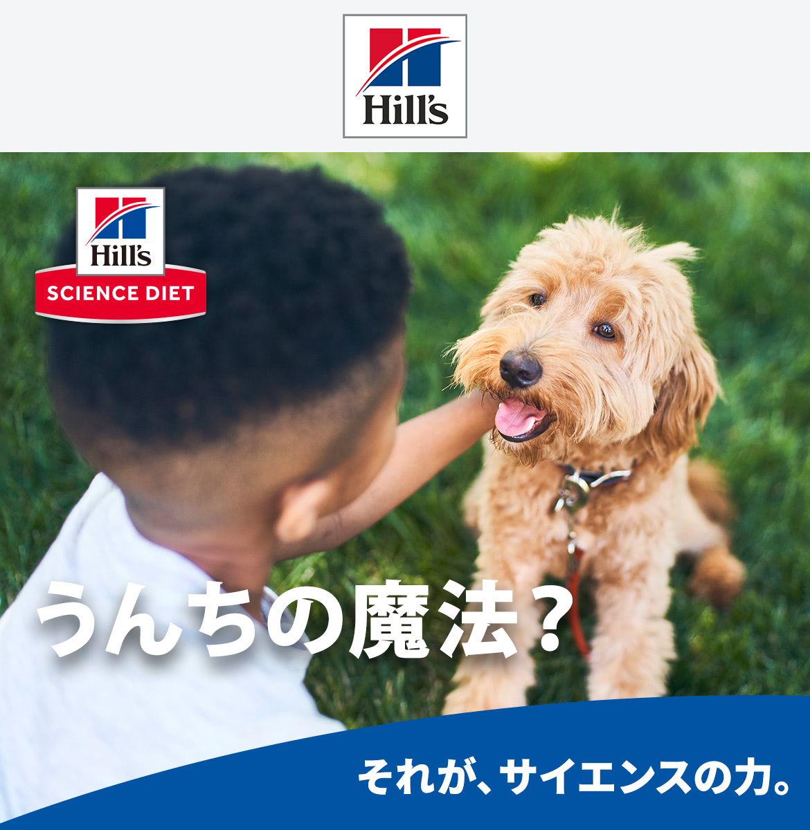 ワンちゃん・ネコちゃん用 ヒルズ サイエンス・ダイエット