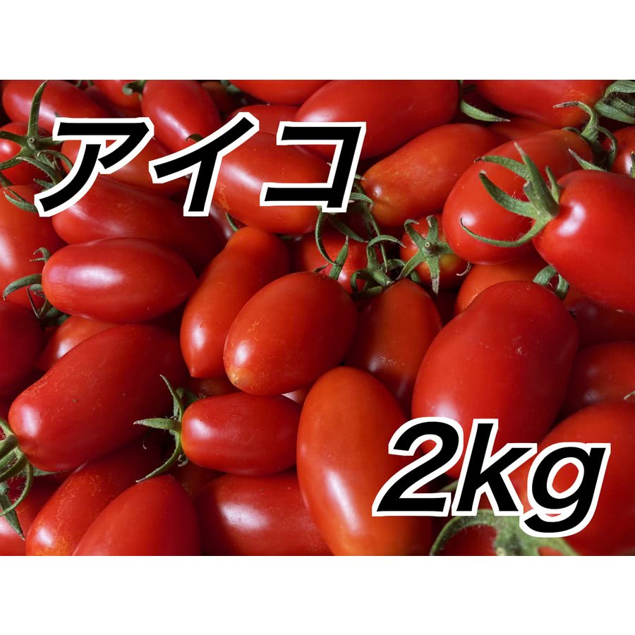 信州産ミニトマト　アイコ　2kg