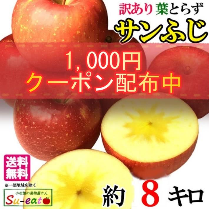訳あり サンふじ 8キロ
