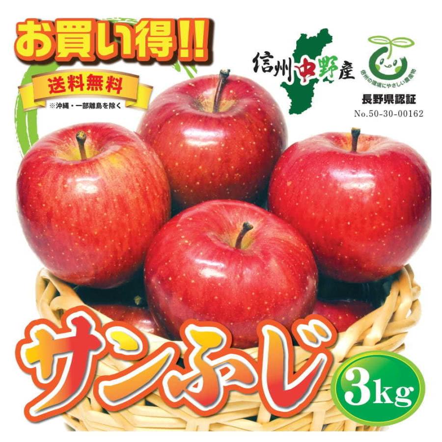 信州中野産★お買い得りんご【3kg（7〜13個）】
