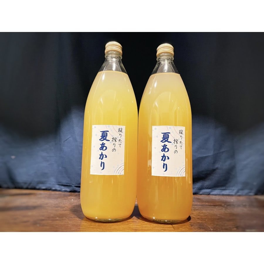 りんごジュース 1000ml ２本セット