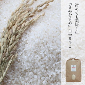 新米 米 きぬむすめ 白米 約9kg 晴れの国岡山 岡山の米 農家直送 ランク特A取得 米の食味ランキングAランク お取り寄せ