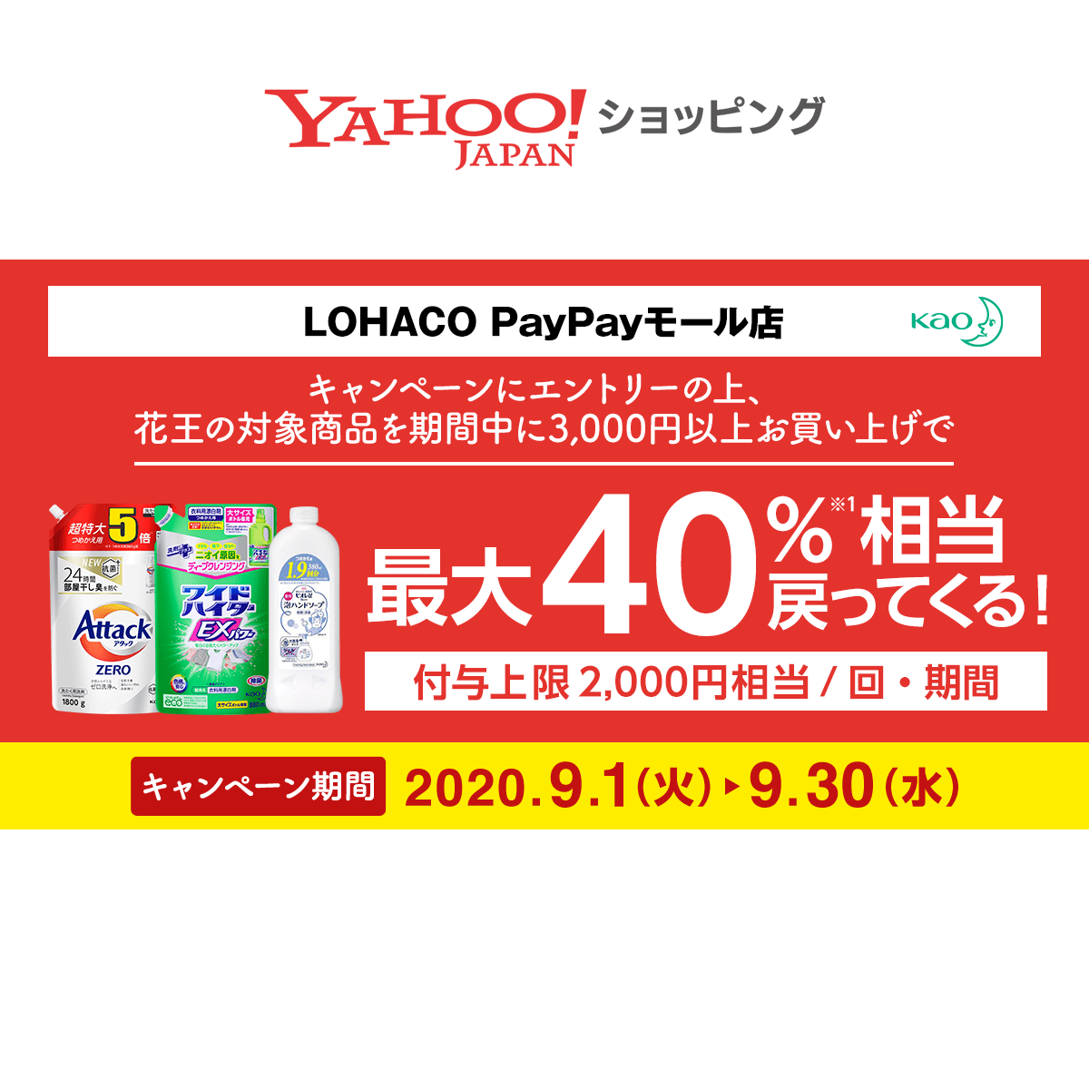 花王商品購入でプラス Paypayボーナスライト付与キャンペーン Yahoo ショッピング