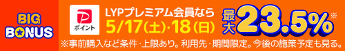 ヤフービッグボーナス
