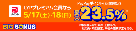 5月ヤフービッグボーナス