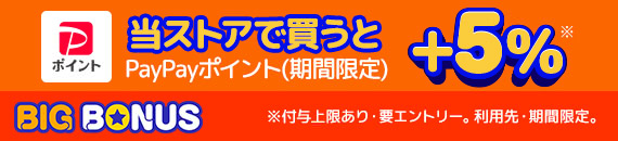 ヤフービッグボーナス
