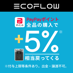 EcoFlow対象ストアでの購入で+5%【対象ストア限定】