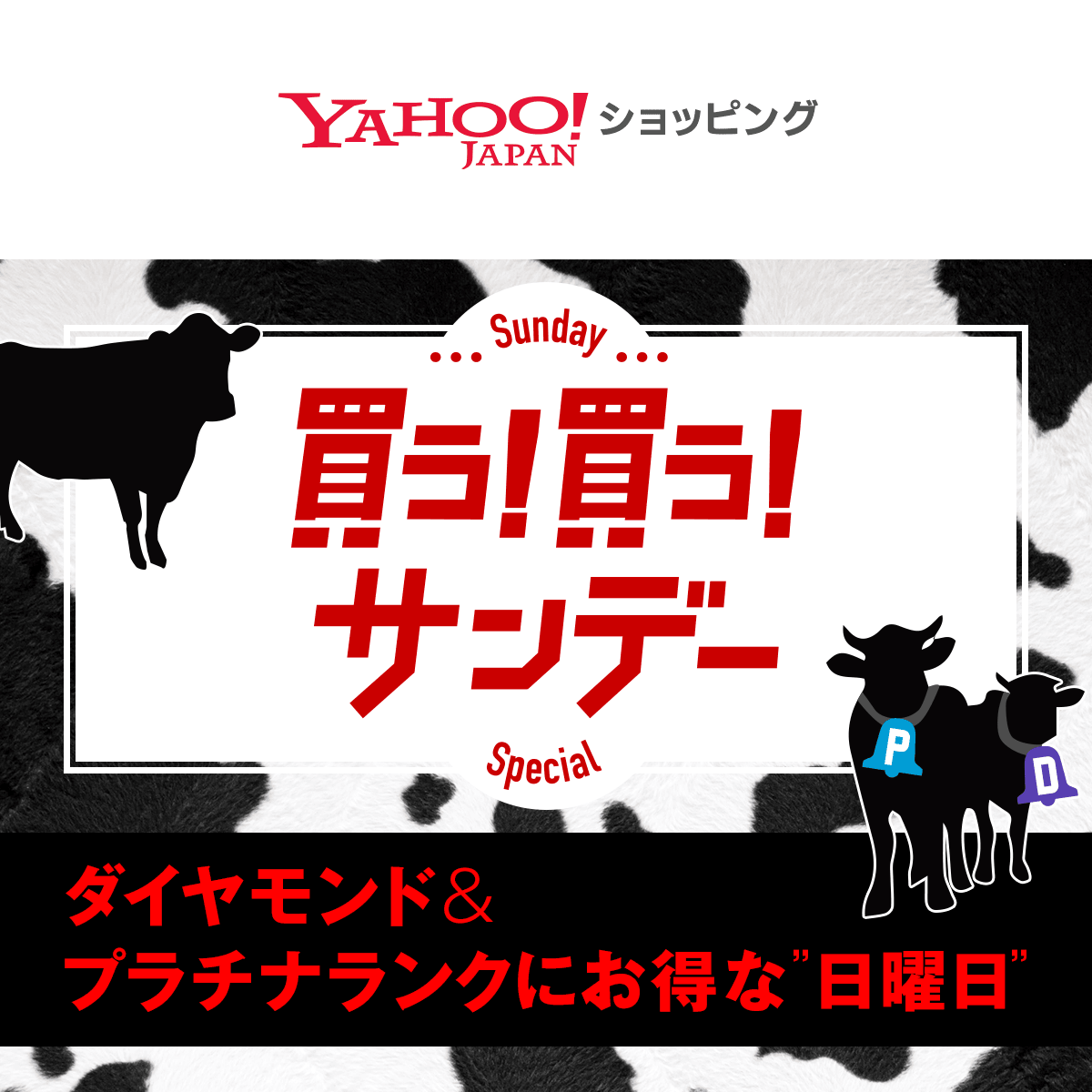 買う 買う サンデー Yahoo ショッピング