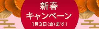 新春キャンペーンバナー