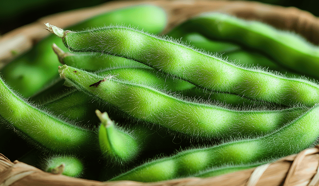 枝豆