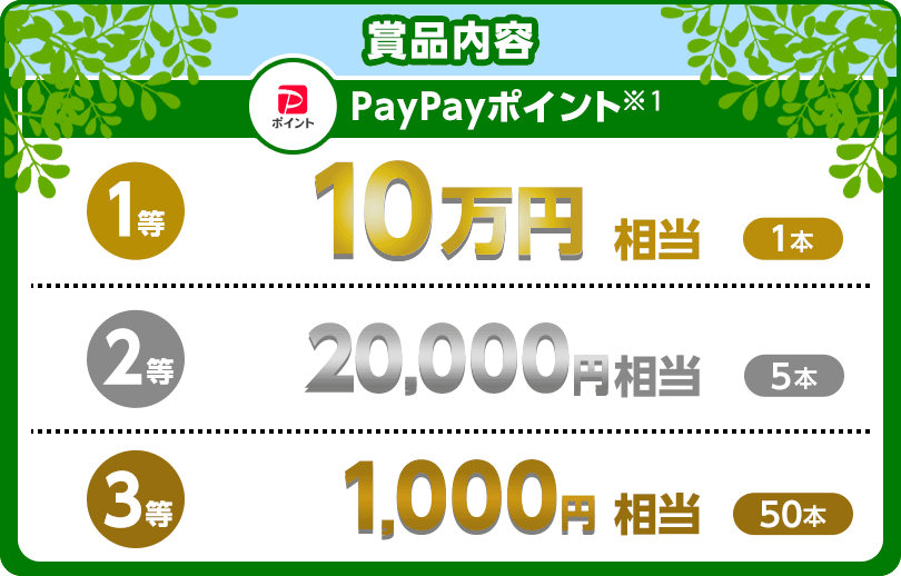 賞品内容 PayPayポイント（※1） 1等 10万円相当（1本）2等 20,000円相当（5本）3等 1,000円相当（50本）
