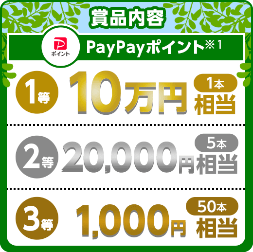 賞品内容 PayPayポイント（※1） 1等 10万円相当（1本）2等 20,000円相当（5本）3等 1,000円相当（50本）
