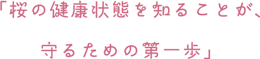 「桜の健康状態を知ることが、守るための第一歩」