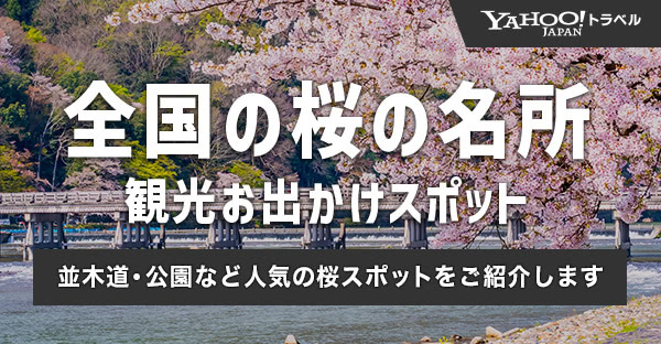 全国の桜の名所 観光お出かけスポット 並木道・公園など人気の桜スポットをご紹介します