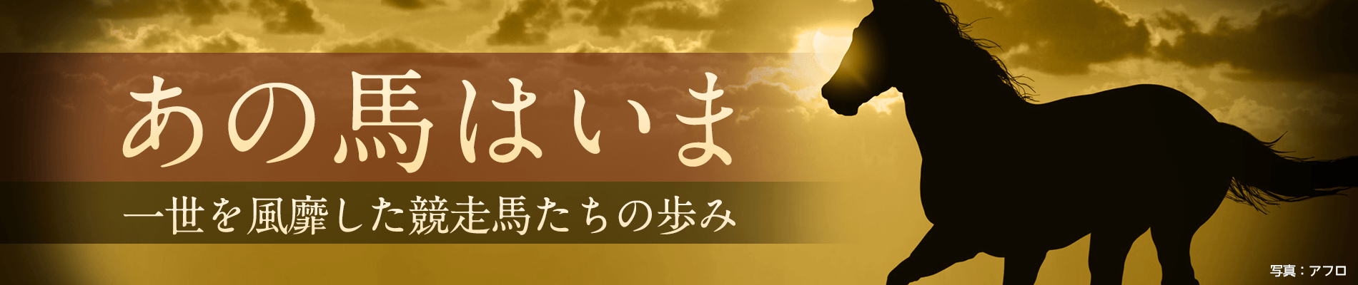 あの馬はいま